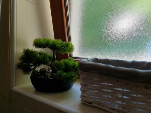 Forest House Masha