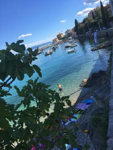Apartment Ivone - 5 Stars