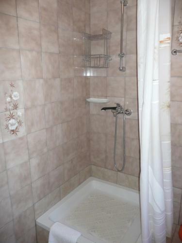 Apartments Branka