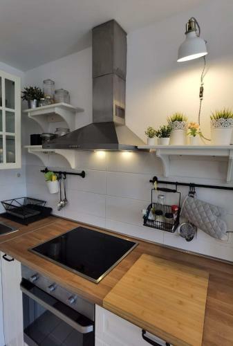 Apartman Ljupka-olib, Gem Of Islands