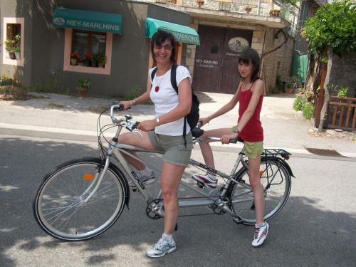 Bed & Breakfast La Renardi�re