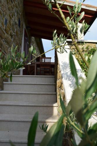 Apartman Casa Mar?i?