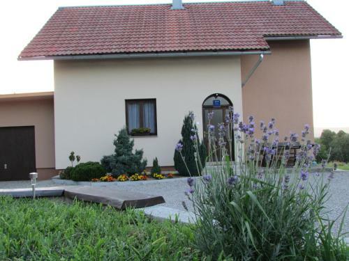 Apartment Zora - Guest House