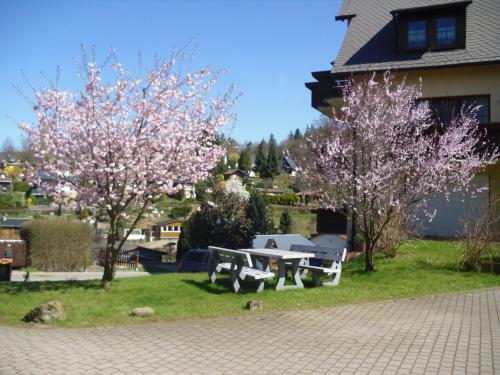Apartamentos Ferienwohnung Rothe