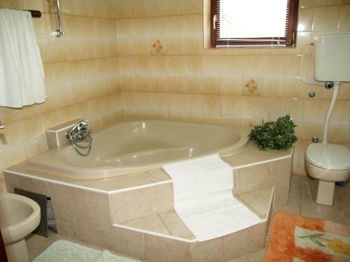 Apartman Marija II