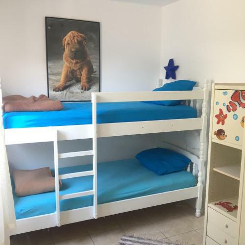 Apartman Cvenkica