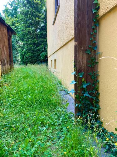 Apartamento Die Heinrich19 Donaustauf Cc