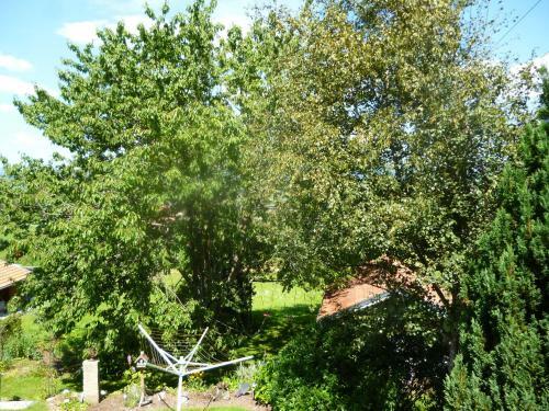 Apartamento Haus Renate