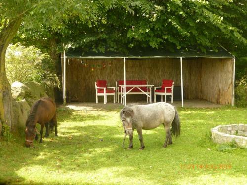 Apartamento Ferienhof Lorenzen