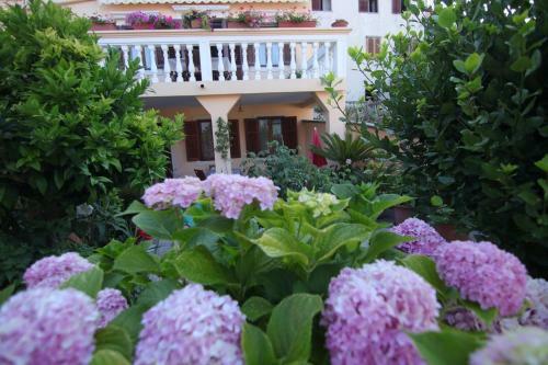 Apartamentos App With A Lovely Patio