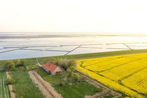 Apartamento Gulfhof Polder72 Polder72 4 Ine