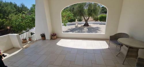 Casa Vacanze Trullo