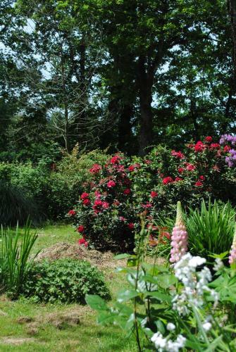 Bed & Breakfast Le Moulin Du Bignon