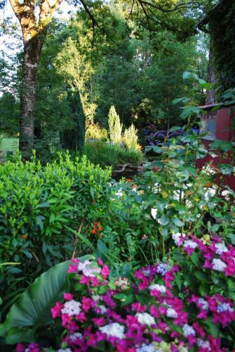 Bed & Breakfast Le Moulin Du Bignon