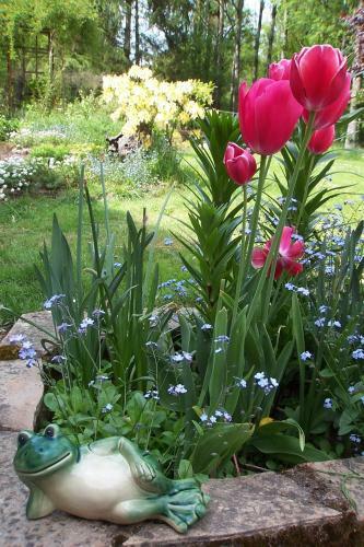 Bed & Breakfast Le Moulin Du Bignon
