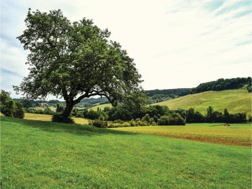 Holiday Home Chateau Labatut