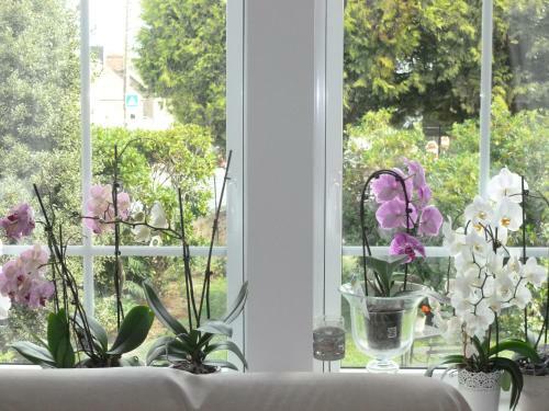 Hostal Ch�teau Bily
