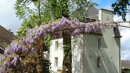 Hostal Ch�teau Bily