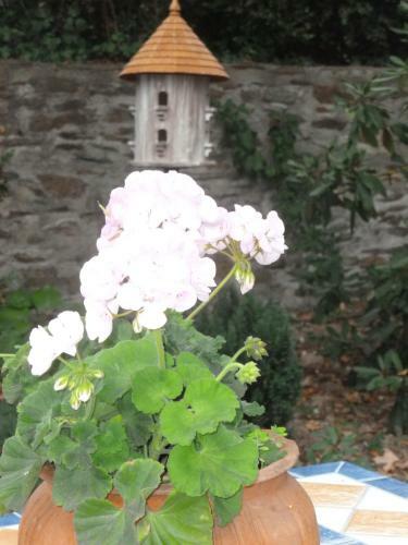 Hostal Ch�teau Bily