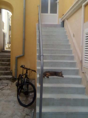 Apartamento City Castle Lussin