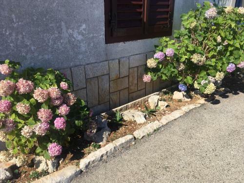 Apartman Neda