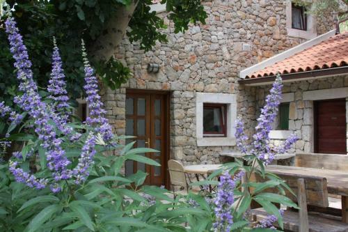 Stone House Retreat