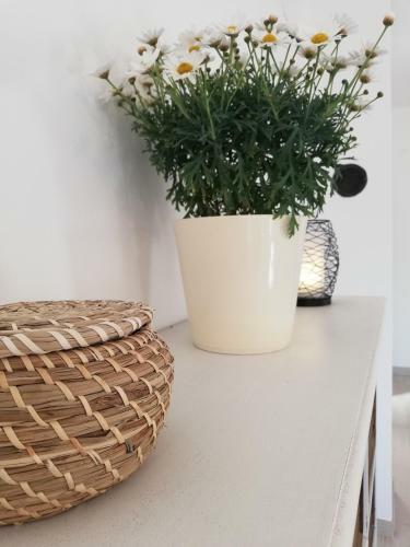 Apartment Jujube
