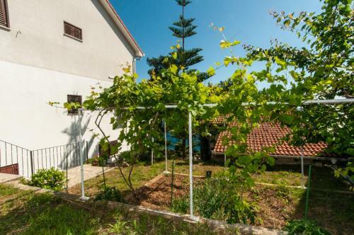 Apartments & Rooms Bianca