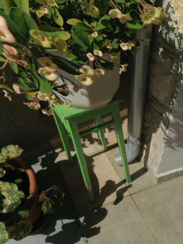 Apartman Oscar Mali Lo?inj