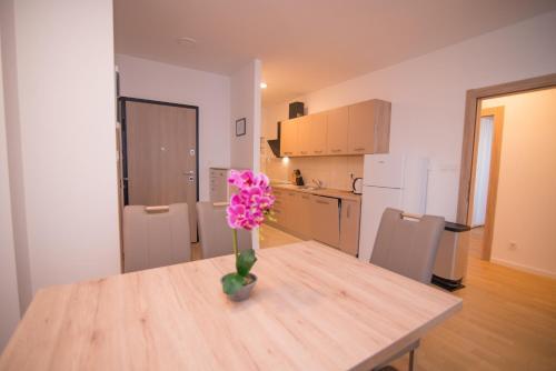 Apartamento Radnik