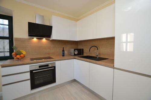 Apartment Lux