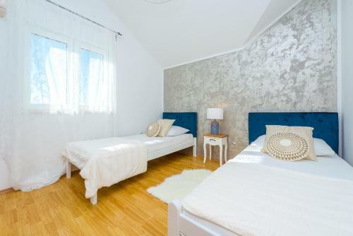 Summer Experience Apartment