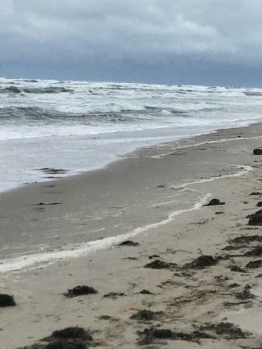 Meiks Ostseeh�tten