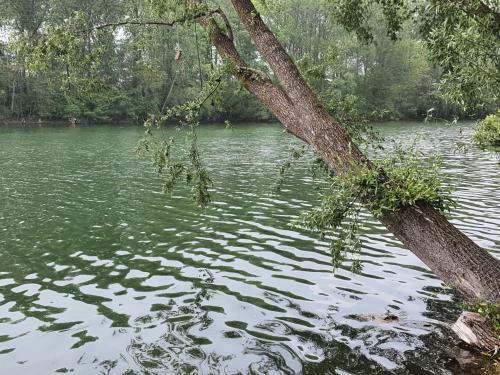 G�ste Haus Am See