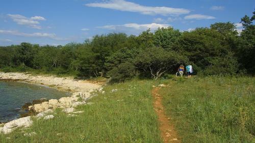 Njivice, Otok Krk, Apartman Dora