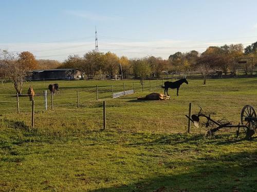 Apartamento M�hlenberger Ponyhof