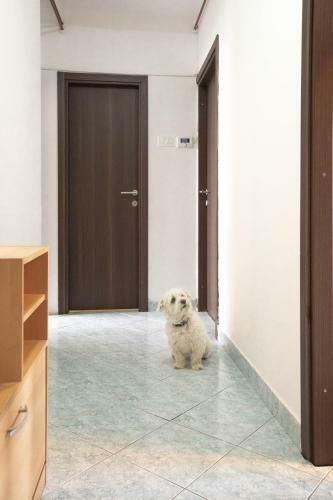 Cosy Apartment Hugo