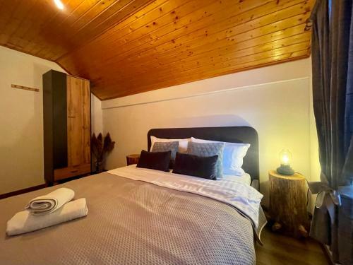 Woodenhouse With Two Apartments
