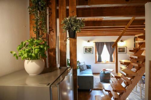 Woodenhouse With Two Apartments