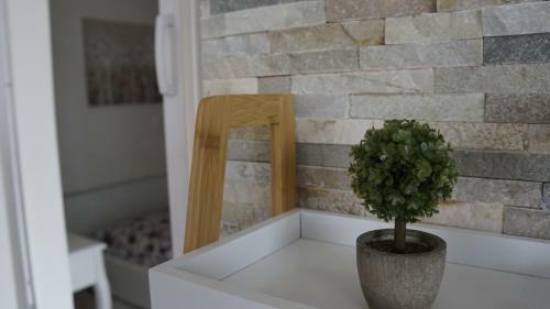 Apartment Golden Star
