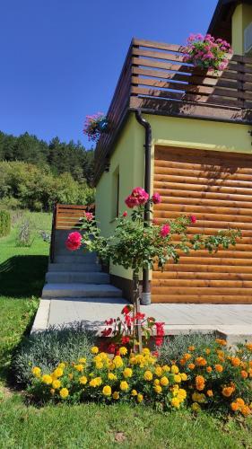 Apartman Maja 2