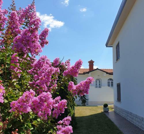 Holiday Apartment Villa Bianca