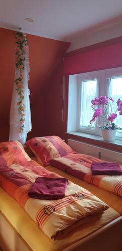 Hostal Gasthaus Pavillon