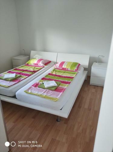 Apartments Nogic