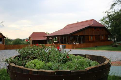 Hostal Holiday Home Lina