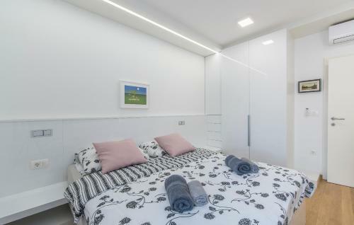Luxury Apartments Novigrad