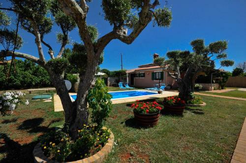 Villa House Aurelio