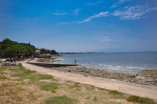 Villa House Aurelio