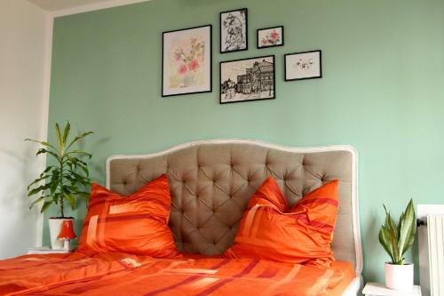 Apartment / Flat / Wohnung Im Herzen Von Dresden