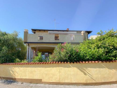 Apartamentos Romana